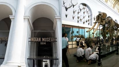 কলকাতায় যাদুঘরের জন্য় বাড়তি বরাদ্দ, তামিলনাড়ুতেও প্রত্নতাত্ত্বিক সংগ্রহশালা