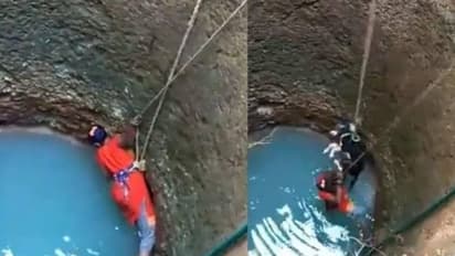 30 അടിയോളം താഴ്ചയുള്ള കിണറ്റില് വീണ് നായ; സാഹസികമായി രക്ഷിച്ച് യുവതി: കയ്യടിച്ച് സോഷ്യൽ മീഡിയ