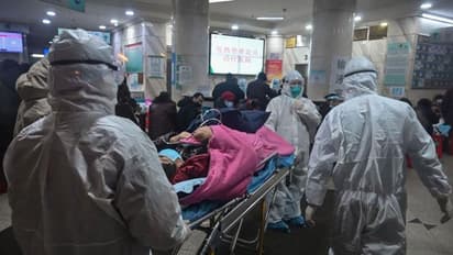 চিনে করোনায় মৃতের সংখ্যা ছাড়িয়ে গেল ৩৫০, হংকং-এ ধর্মঘটের ডাক চিকিৎসা কর্মীদের