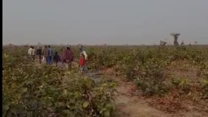 শালবনীর জঙ্গলে প্রৌঢ়াকে 'ধর্ষণ' করে 'খুন', আটক ৫