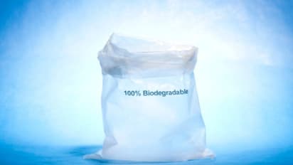 পরিবেশ রক্ষার নতুন পদক্ষেপ, এনআইটির ছাত্রদের অভাবনীয় আবিষ্কার ভুট্টা দিয়ে তৈরি প্লাস্টিক