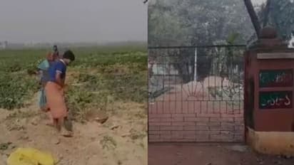 হাতির তাণ্ডবে ফসলের ক্ষতি, হুলা পার্টির সদস্য়দের বেধড়ক মার চাষিদের