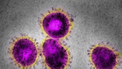 కరోనా లక్షణాలున్న ఇద్దరు ఆస్పత్రి నుంచి మిస్సింగ్: రంగంలోకి కేంద్రం