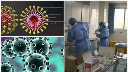 അപകടകാരികളായി മൃഗങ്ങളിൽ നിന്നുളള വൈറസുകൾ; വൈറോളജി വിദഗ്ധർ പറയുന്നത്...