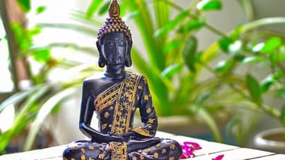 জীবনে সার্বিক শান্তি পেতে, গৌতম বুদ্ধের এই উদ্ধৃতিগুলি অবশ্যই জানা উচিৎ