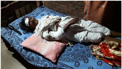 തനിച്ച് താമസിക്കുന്ന വയോധികയ്ക്ക് തെരുവുനായയുടെ ആക്രമണത്തില്‍  ഗുരുതര പരിക്ക്