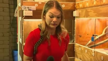 റിപ്പോര്‍ട്ടിംഗിനിടെ പാമ്പിനെ തോളില്‍ വച്ചു; ശേഷം നടന്നത് വൈറലായി....