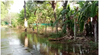 കനാൽ കവിഞ്ഞൊഴുകി ചാരുംമൂട്ടിൽ കൃഷി നാശവും വെളളക്കെട്ടും