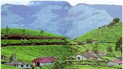 ഇടുക്കിയിൽ 840 വിദേശ വിനോദസഞ്ചാരികൾ നിരീക്ഷണത്തിൽ; 75 പേര്‍ ഹൈ റിസ്ക് വിഭാഗത്തില്‍