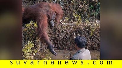 ಕೆಸರಲ್ಲಿ ಬಿದ್ದವನಿಗೆ ನೆರವಿನ ಕೈ ಚಾಚಿದ ಪೂರ್ವಜ: ಬೇಡವೆಂದ ಮನುಜ!