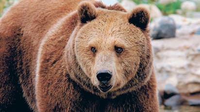 Stock Market Tips: జస్ట్ 9 సెషన్లలో 11 లక్షల కోట్లు హుష్ కాకి, రేపటి మార్కెట్లో ఇన్వెస్టర్లు ఏం చేయాలి..?