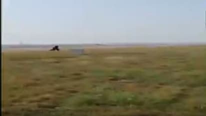 ಮಂಗ ಓಡಿಸಲು ಕರಡಿಯಾದ ವಿಮಾನ ನಿಲ್ದಾಣ ಸಿಬ್ಬಂದಿ!