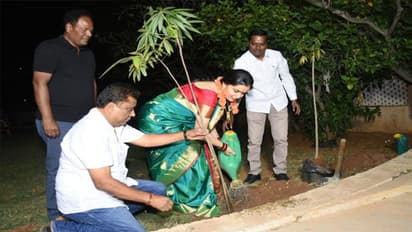 గ్రీన్ ఇండియా ఛాలెంజ్.. మొక్కలు నాటిన సీనియర్ నటి కౌసల్య