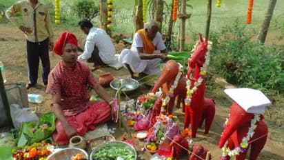 বিদ্যুৎস্পৃষ্ট হয়ে হাতির মৃত্যু, বর্ষপূর্তিতে গ্রামে শ্রাদ্ধের আয়োজন স্থানীয়দের