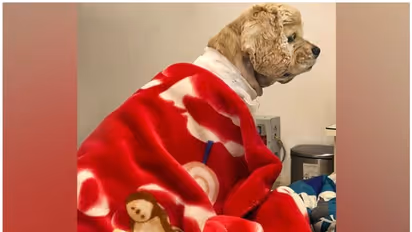 ഖുഷി, ഇന്ത്യയിലാദ്യമായി പേസ്മേക്കർ ഘടിപ്പിച്ച നായ ഇവനാണ്...