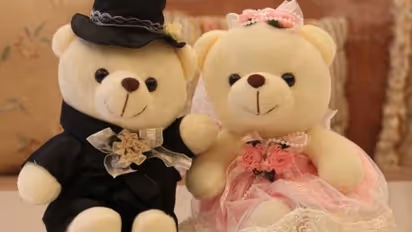 Valentine's Day : टेडी बीयर के संग आज मनाया जा रहा है प्रेम का त्योहार, जानें कैसे हुई शुरुआत