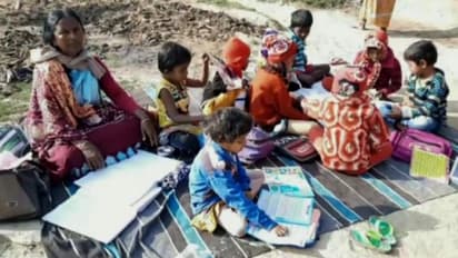 গরু-ছাগলের সঙ্গে পড়াশোনা, ৩২ বছরেও ছাদ পায়নি গোঘাটের স্কুল