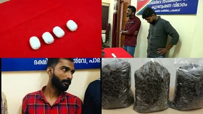 സ്വർണം മലദ്വാരത്തിൽ ഒളിപ്പിച്ചത് ക്യാപ്സൂൾ രൂപത്തിലാക്കി, കള്ളക്കടത്ത് തടഞ്ഞ് ആര്പിഎഫ്; കഞ്ചാവും പിടികൂടി