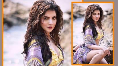 বুকখোলা পোশাকে 'অন্তর্বাস' দেখিয়ে ভোটপ্রচার নয়, BJP-TMC কর্মীর বাড়িতে গিয়ে কী করছেন পায়েল