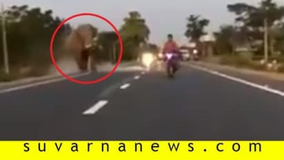 ಬೈಕ್ ಸವಾರನ ಬೆನ್ನತ್ತಿದ ಆನೆ: ಕೊಂಚ ಯಾಮಾರಿದ್ರೂ ಯಮನ ಪಾದ ಸೇರ್ತಿದ್ದ!