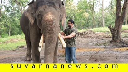 ಕೇರಳದಲ್ಲಿ ಅರಣ್ಯ ಸೆಟ್; ಶುರುವಾಯ್ತು 'ಮದಕರಿ ನಾಯಕ' ಶೂಟಿಂಗ್!