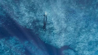 ഒരു നിമിഷം, കണ്‍മുന്നിലുയര്‍ന്നത് മഞ്ഞ് മലയോ, അതോ... ?