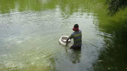 ശുദ്ധജലത്തില് മത്സ്യം വളര്ത്താനൊരുങ്ങുകയാണോ? ഈ അബദ്ധങ്ങള് പറ്റാതെനോക്കാം