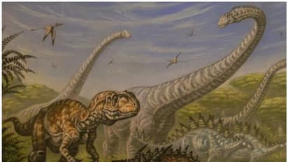 സിനിമയിലെ ദിനോസറുകളും ശരിക്കും ദിനോസറുകളും തമ്മിലെന്തെങ്കിലും ബന്ധമുണ്ടോ?