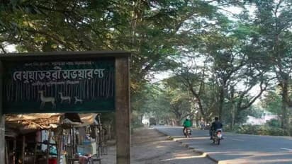 বেথুয়াডহরী অরণ্যের মাঝে একমুঠো অবসর, উইকএন্ড ট্যুরে নিয়ে নিন এই ডেস্টিনেশন