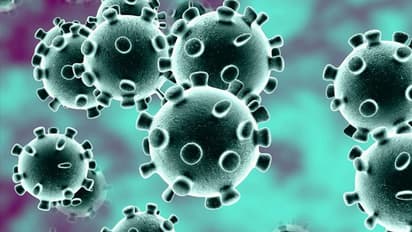 নয়া নামকরণ করোনা ভাইরাসের, রিপোর্ট বিশ্ব স্বাস্থ্য সংস্থার