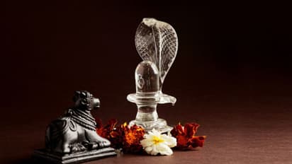 শিবরাত্রি ব্রত কখন পালন করবেন , জেনে নিন