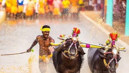 ಬೆಂಗಳೂರಲ್ಲೂ ಶೀಘ್ರ ನಡೆಯಲಿದೆ ಕಂಬಳ ರೇಸ್?