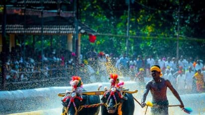 ಬೋಲ್ಟ್‌ಗಿಂತ ಸ್ಪೀಡ್ ಈ ತುಳುನಾಡ ಕಂಬಳವೀರ: ವೇಗಕ್ಕೆ ಸಾಟಿಯೇ ಇಲ್ಲ!