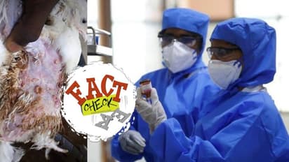 'ബെംഗലുരുവിലെ കൊറോണ ബാധിച്ച കോഴി'; പ്രചാരണങ്ങളിലെ വസ്തുതയെന്ത്?