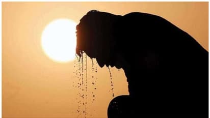 ಬೇಸಿಗೆ ಬಿಸಿಯ ಬೇಗೆಗೆ ಉತ್ತರ ಭಾರತ ತತ್ತರ: 47 ಡಿಗ್ರಿ ತಾಪಮಾನ!