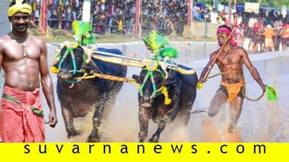 ಕಂಬಳವೀರನಿಗೆ ಮೆಚ್ಚುಗೆ ಮಹಾಪೂರ: ಬಾಹುಬಲಿ 2ರಲ್ಲೂ ನಟಿಸಿದ್ದ ಶ್ರೀನಿವಾಸ!