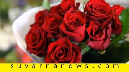 Vastu Tips : ಸಾಲದ ಸಮಸ್ಯೆ ದೂರ ಮಾಡಲು ಕೆಂಪು ಗುಲಾಬಿಯನ್ನು ಈ ರೀತಿ ಬಳಸಿ!