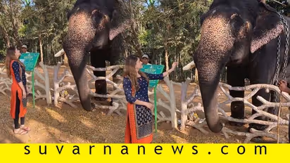 Valentines Dayಗೆ 'ಡುಮ್ಮ ಬಾಯ್‌ಫ್ರೆಂಡ್' ಪರಿಚಯಿಸಿದ ಕಾರುಣ್ಯ ರಾಮ್‌!