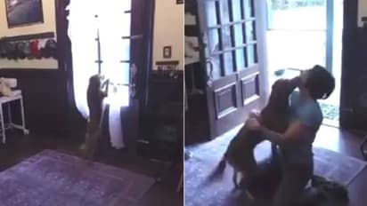 ആരാണ് കൂടുതല് 'ഹാപ്പി', ബഹിരാകാശത്തുനിന്ന് തിരിച്ചെത്തിയ ക്രിസ്റ്റീനയെ കണ്ട വളര്ത്തുനായയുടെ ആഹ്ളാദം