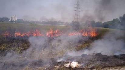 ಬೆಳಗಾವಿ: ಹುಕ್ಕೇರಿಯ ತ್ಯಾಜ್ಯ ವಿಲೇವಾರಿ ಘಟಕದಲ್ಲಿ ಭಾರೀ ಬೆಂಕಿ