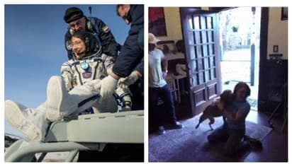 মহাকাশ থেকে দীর্ঘদিন পর ফিরেছেন মনিব, নেচেই ভাইরাল হল পোষ্য কুকুর