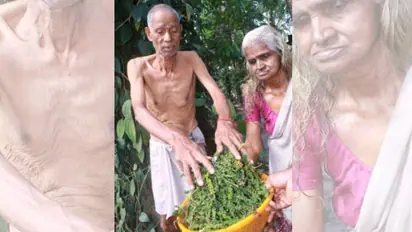 കുരുമുളക് കൃഷിയിൽ വിജയഗാഥയുമായി മുഹമ്മയിലെ 'ഡൽഹി മാധവൻ'