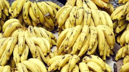 കര്ണാടകയില് നിന്ന് വാഴക്കുല എത്തിച്ച് വയനാട്ടിലെ നേന്ത്രക്കായ സംഭരണം അട്ടിമറിക്കുന്നു; പരാതിയുമായി കര്ഷകര്