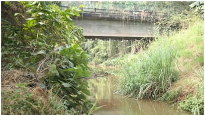 കിള്ളിയാറിന് വേണ്ടി അവര്‍ വീണ്ടുമൊന്നിച്ചു; കാണാം ചിത്രങ്ങള്‍