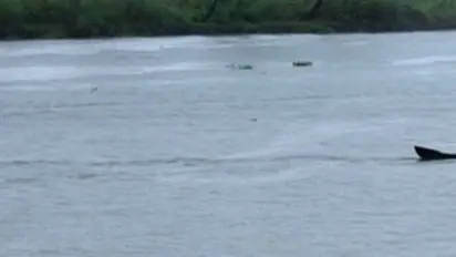 പൂമീൻപൊഴിയിലെ വെള്ളത്തിന് നിറവ്യത്യാസം; പ്രദേശവാസികൾ ആശങ്കയിൽ