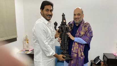 అమిత్ షాతో భేటీ: వైఎస్ జగన్ చెప్పిన విషయాలు ఇవే...