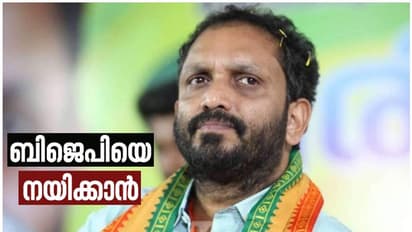 കെ സുരേന്ദ്രൻ ബിജെപി സംസ്ഥാന അധ്യക്ഷൻ