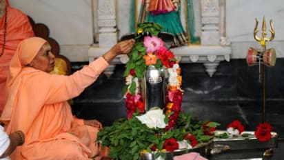 কালসর্প ও সাড়ে সাতি দোষ থেকে মুক্তি পেতে, নিয়ম মেনে পুজো করুন পারদের শিবলিঙ্গে