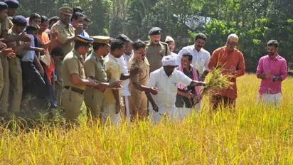 മണ്ണില്‍ പൊന്ന് വിളയിച്ച് കുട്ടി കര്‍ഷകരുടെ കൊയ്ത്തുത്സവം