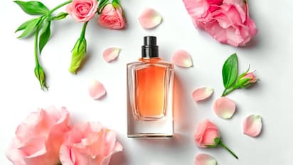 Valentine Day উপলক্ষে বিশেষ কিছু উপহার, যা সম্পর্ককে আরও নিবিড় করবে